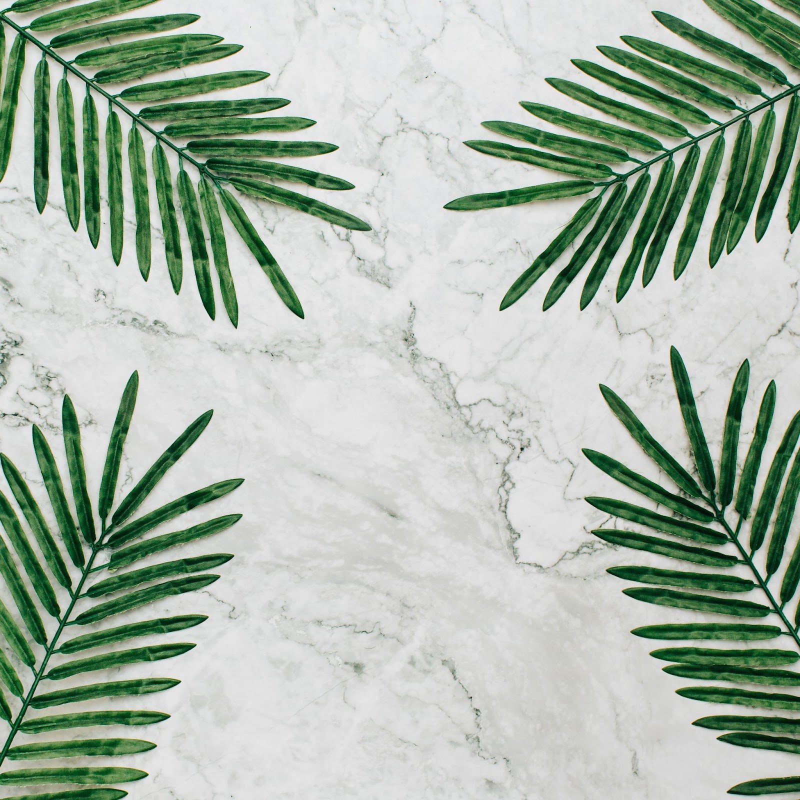 Tiles corner covered by green leaves